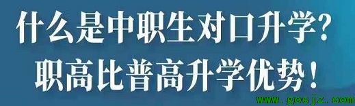 职高比普高升学优势.png