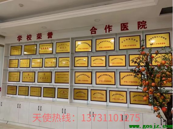 石家庄天使护士学校合作院校.png