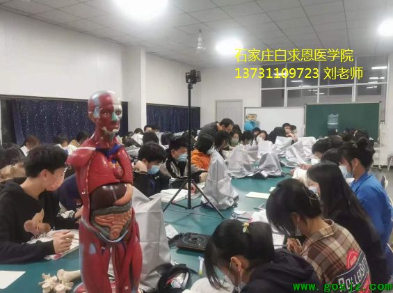 石家庄白求恩医学院对口预科班招生.png