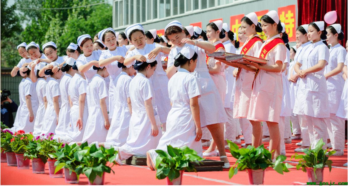 石家庄天使护士学校补录.png
