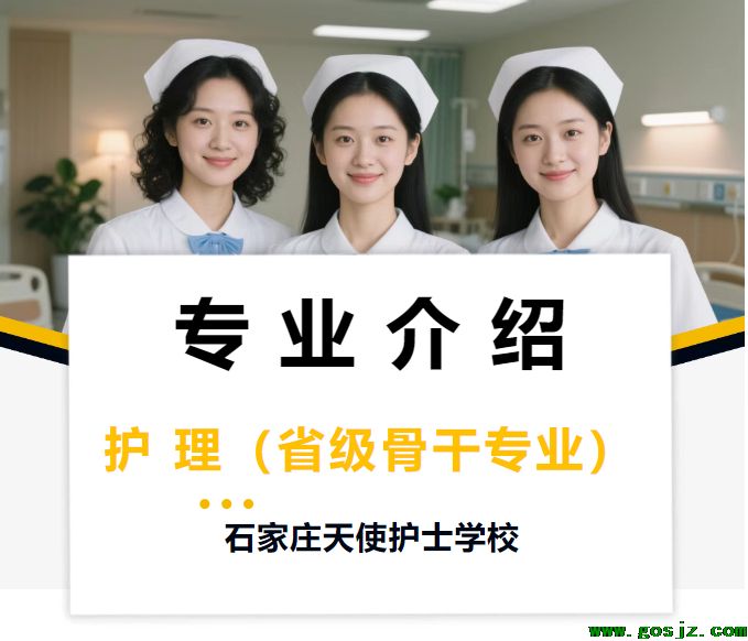 石家庄天使护士学校.png