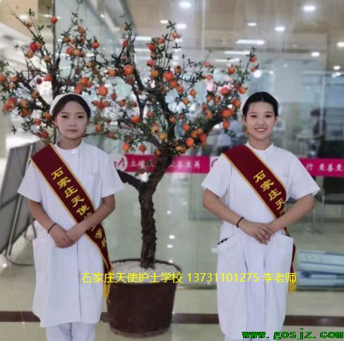 石家庄天使护士学校招生简章02.png