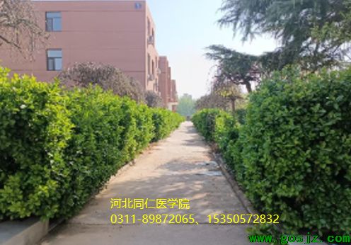 河北同仁医学院有月假吗.png