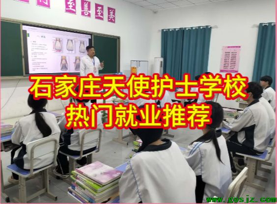 石家庄天使护士学校热门专业推荐.png