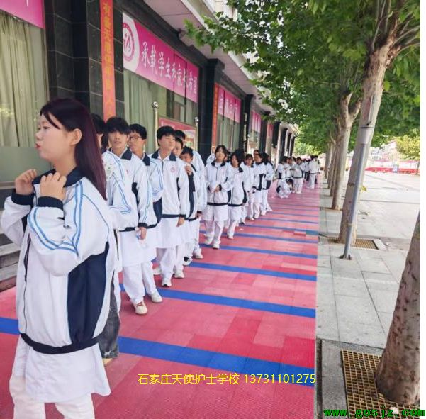 石家庄天使护士学校学籍注册01.png