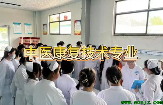 河北同仁医学院中医康复技术专业.png