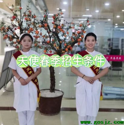sjztiansh.png