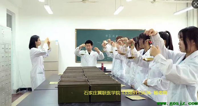 石家庄白求恩医学院医学检验技术.png 石家庄白求恩医学院医学检验技术.png