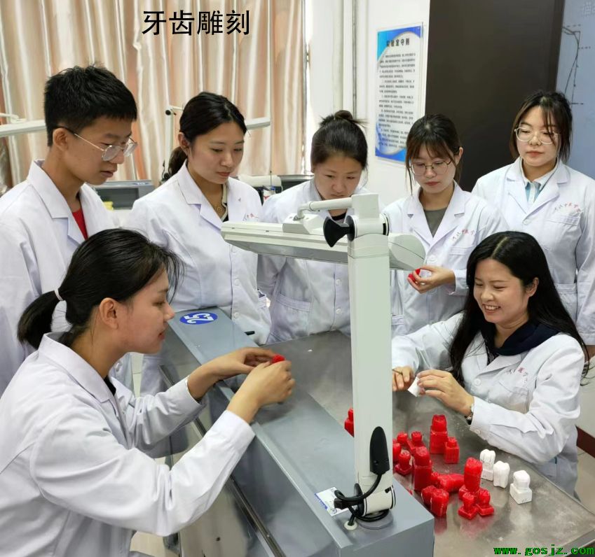  口腔修复工艺专业和口腔医学哪个好就业？-石家庄白求恩医学院