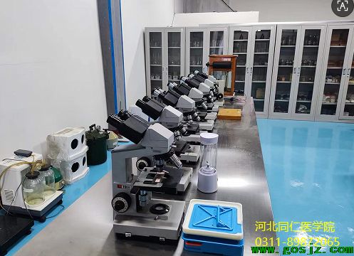 河北同仁医学院药剂.png 河北同仁医学院药剂.png